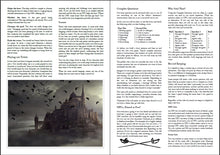 Load image into Gallery viewer, OSR Solo