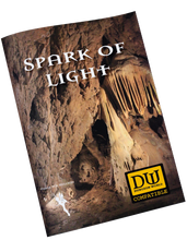 Load image into Gallery viewer, Spark of Light - DW Compatible