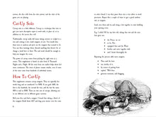 Load image into Gallery viewer, Cut Up Solo - 1001 Nights